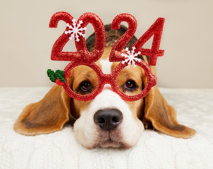 Some Thoughts to Start the Year